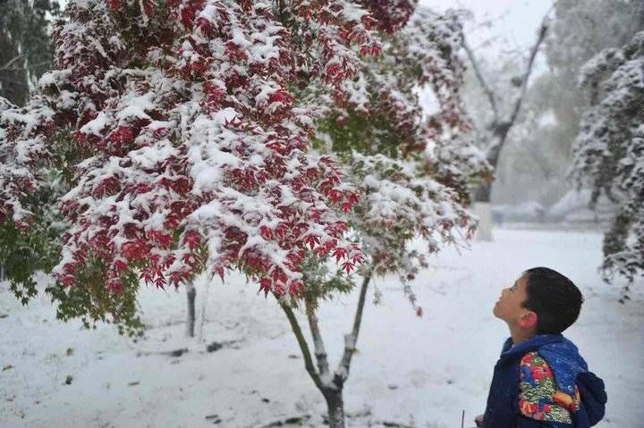 暴雪|当立冬与暴雪相逢，当秋天与冬天相遇