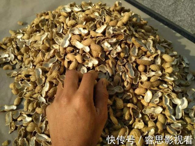 养花还买花肥?家里的此几样“垃圾”扔盆里,植物叶油绿、开花艳