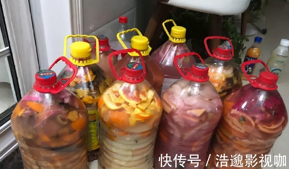 这些“垃圾”不要扔,用来养花“一级棒”,肥的流油,环保又省钱