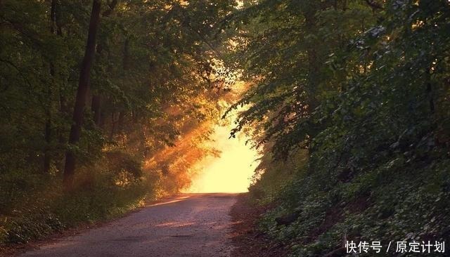 剑来天庭遗址填坑和崔瀺真正的问心局拉开帷幕!(最新章评)