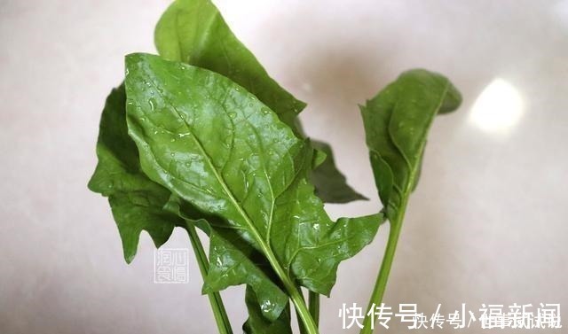 茎部|买菠菜时,遇见这4种菠菜扭头就走,菜贩子从来不吃,你买他偷笑
