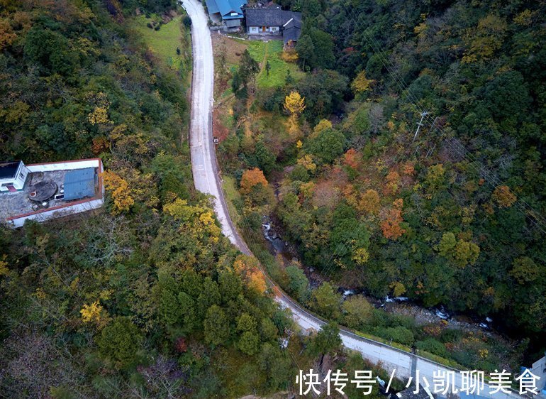 彩林|平武有座山红透了！山上这条云端上的彩林公路秋色如画