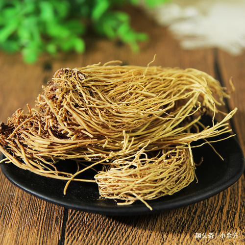 风寒头痛|把全身的风寒都散掉，这味中药，牙痛、头痛、风湿性痛都用！