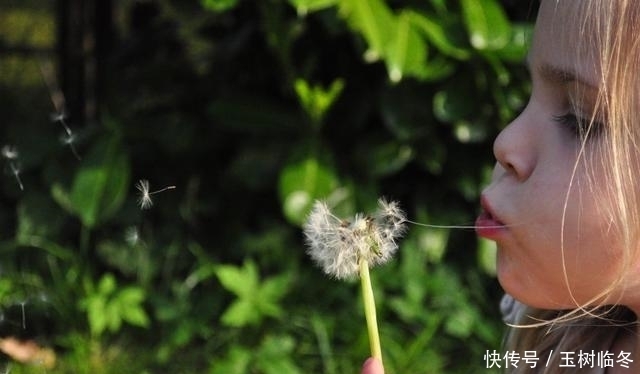 大发彩票 - 官方购彩平台注册即送88元安全可靠的彩票娱乐平台大乐透19021期开出3注头奖单期筹集公益金8866万元