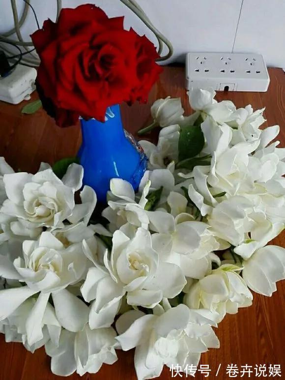 南瓜花|农村的4种花，味道比“鸡肉”香，煎炒煮汤，是一道美味！