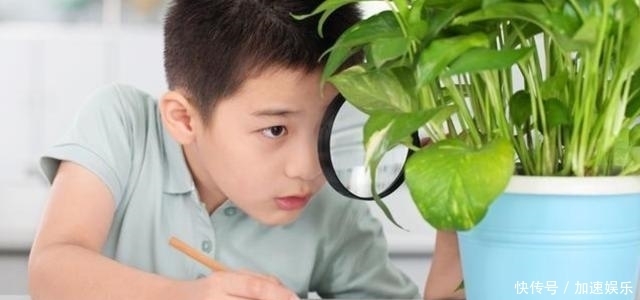 父母|那些平衡好学习和玩耍的孩子，到底有多厉害？