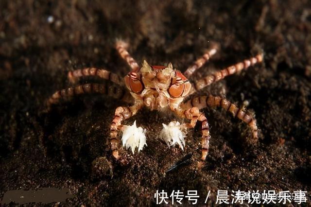 12个冷知识：初看可能会觉得有些荒诞，但却真实存在