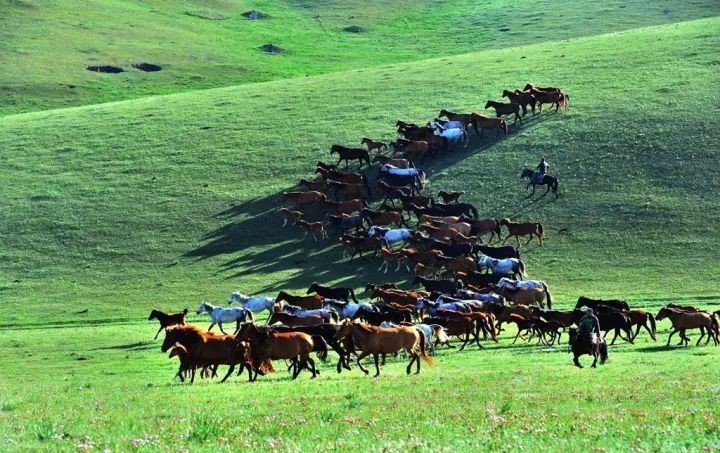 河西走廊|两千年前,河西走廊的“F4”天团出道