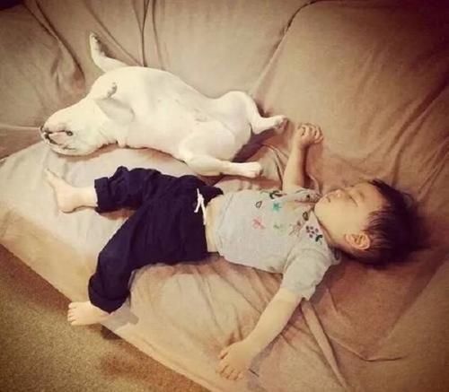 睡姿|不掀开被子,永远不知道宝宝的睡姿有多“销魂”,宝妈们笑翻了