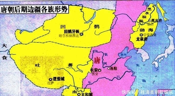 明朝|中国历史上有四个王朝的领土内能抓北极熊, 除了元朝还有它们!