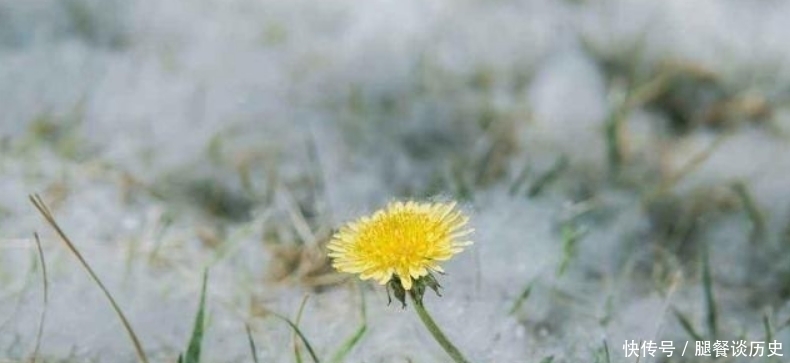 忧愁#李煜水平很高的一首词,通篇都在描写忧愁,可是却没有一个愁字!