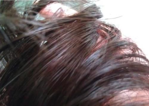 头发一直脱?别犯愁,你可能不是真的掉发!避免入坑看这里