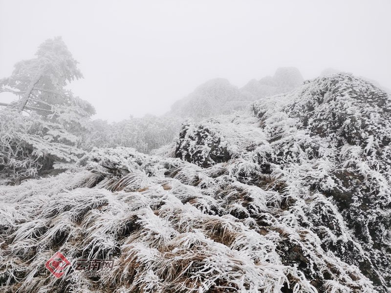 美如画！寒潮携2021年第一场雪飘落昆明轿子雪山