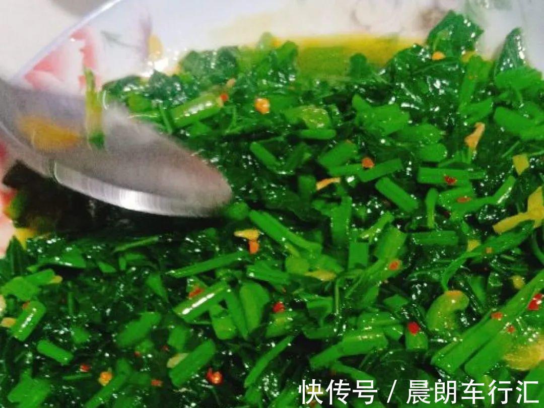 绿萝可以扔了,养盆“格调”花,颜值高还有气质