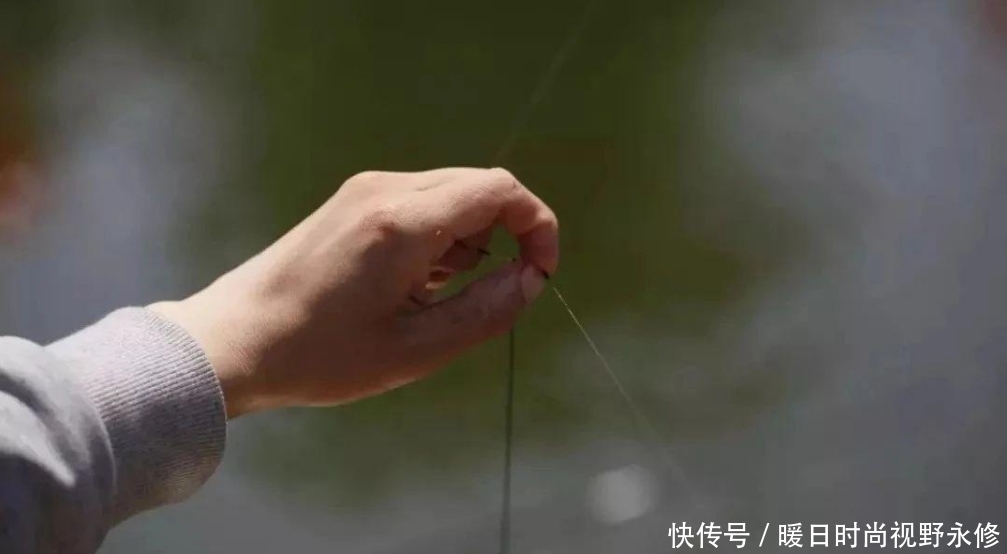 夏季|夏季作钓，小鱼中“抢”大鱼只需这四招，一般人我不说
