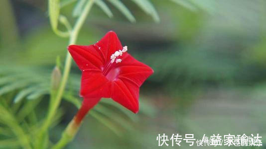 生活质量|家有男人属此生肖,对老婆非常大方,言听计从,处处为老婆着想