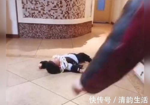 赵丽|孩子躺在地上赖皮不起,奶奶的“神操作”值得夸赞,隔代育儿典范