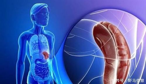 脾虚|脾有二“怕”,坚持做到“三个字”,远离脾虚,还你健康脾脏