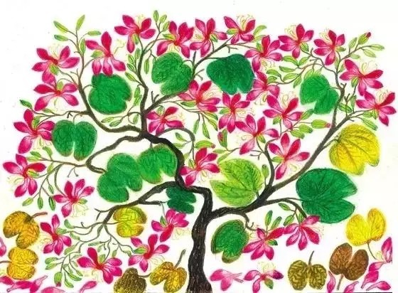 塔莎#3位70岁奶奶用绘画告诉你们:人生永远没有太晚的开始!共勉