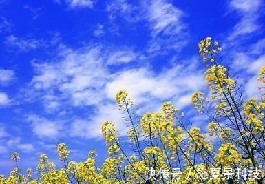 语文教材&南宋这首诗曾入选民国语文教材,开篇美不胜收,颔联寓意深远