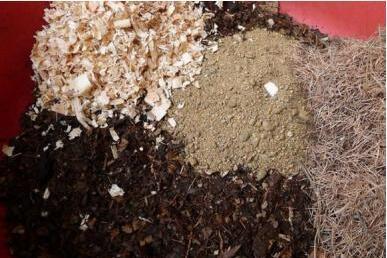 空隙|养花土不用买,3种“垃圾”掺一掺,就是营养土肥沃流油,养花棒