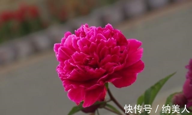 大发彩票 - 官方购彩平台注册即送88元安全可靠的彩票娱乐平台【每日黑瓜吃料168fun】_高清免费完整版
