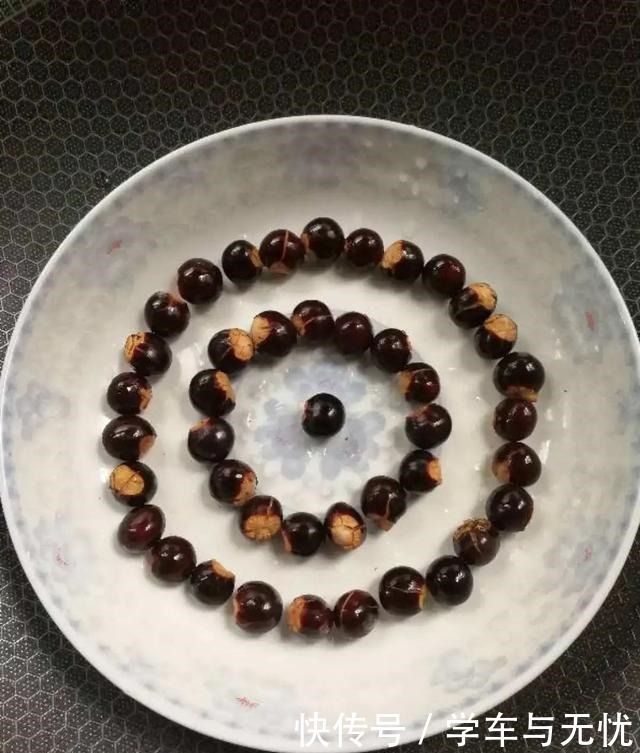 玉米掰一半,泡水里长成绿植,比花还美!