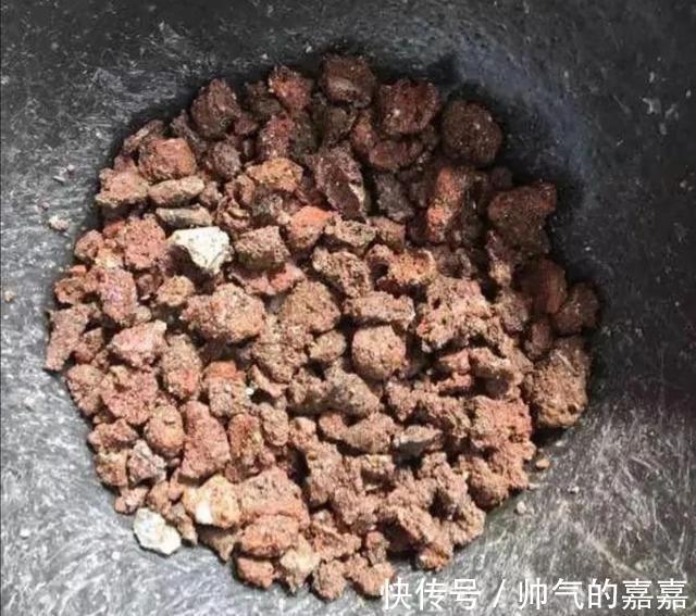 给花卉换盆,多做1个“小动作”,避免出现烂根黄叶