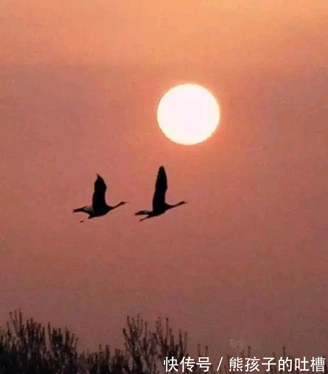 野渡征联|野渡征联第三期:晴窗徊雁影,诚征下联