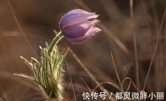 说散就散|7月，燕侣莺俦，相携相伴，3生肖抱着真心去相遇，许下一生的诺