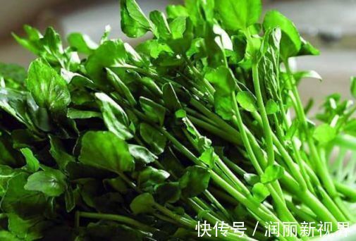 益脑|人到中年想长寿,不妨多吃以下4种食物,补血养颜、好处多多!