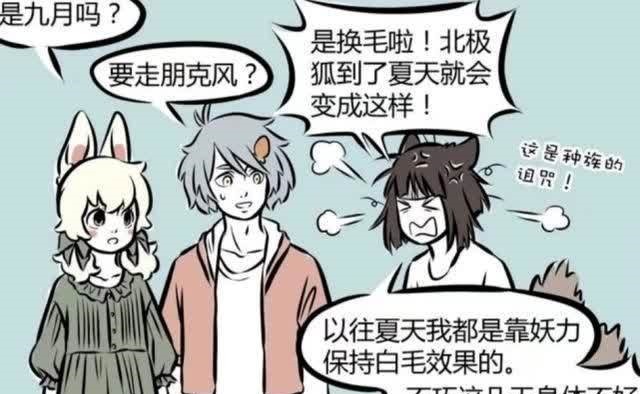阿婆|非人哉:九月的设定是北极狐?品种和妲己差别好大