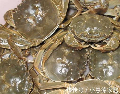 普通朋友|立秋之后,不管有钱没钱,这3种海鲜都要多吃,新鲜美味又便宜!