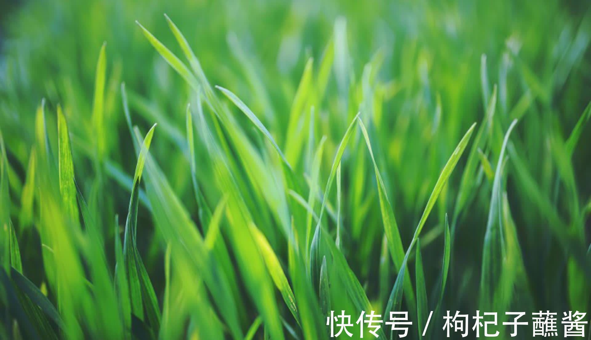 三种人!做人要厚道,但是对待三种人要刻薄,不能心软