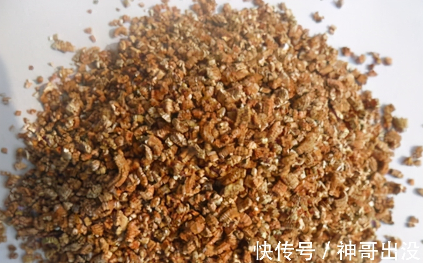 买的营养土不一定适合你,准备3种“材料”,自己在家就能调配