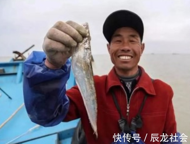 灭绝|这鱼以前泛滥成灾,如今却被人们吃到灭绝,一斤就要卖上万元!