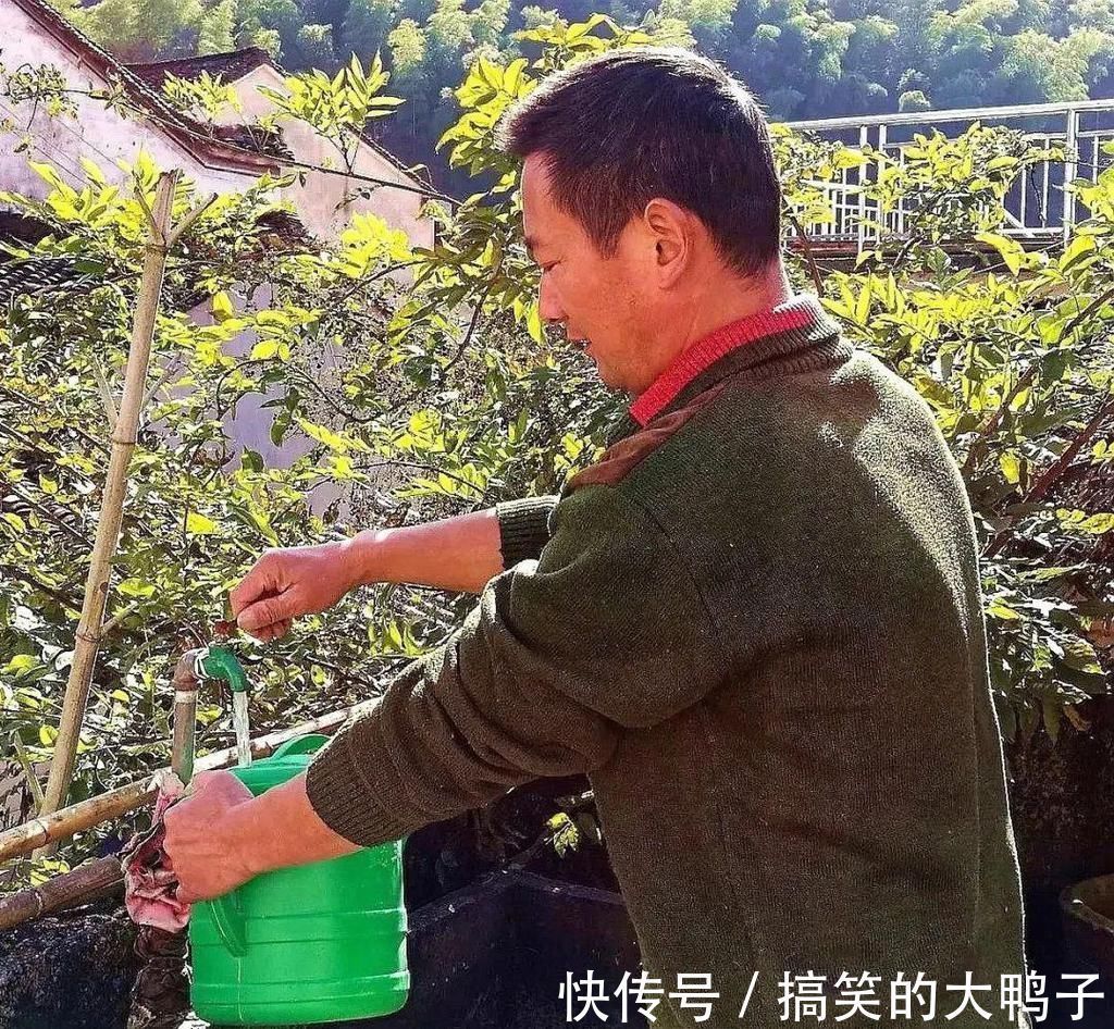 兰花几天浇一次水？3天浇一次，和15天浇一次有区别吗