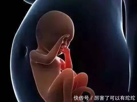 气血|慢走和跑步都没它养生,养生大师都在用它,还能远离腰痛和胃病!