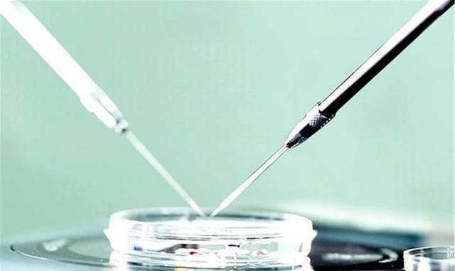 试管|做试管婴儿第4次才成功,准妈妈坦言:孩子有了,但我很后悔