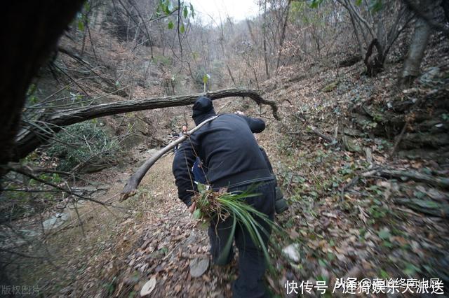 终南山拜访住山洞隐士，整日与猫狗蛇鼠为伴，这位隐士如何做到的