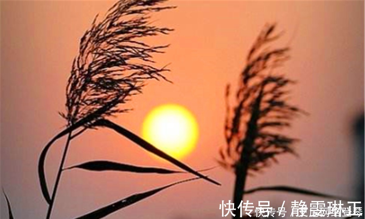 竹杖芒#苏轼最洒脱的一首词,寥寥数语,读来让人豪情万丈