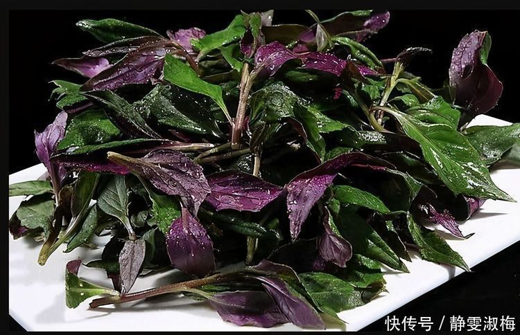 延缓衰老|聪明的人喜欢吃3种食物,排毒养颜、延缓衰老,爱吃就赚了!