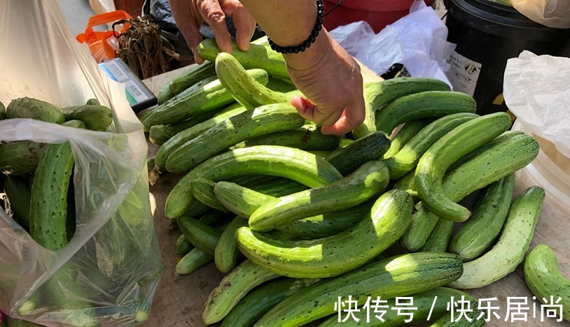 入伏|三伏天,不管有钱没钱,都要多吃“伏天5瓜”,应季而食顺利入伏!