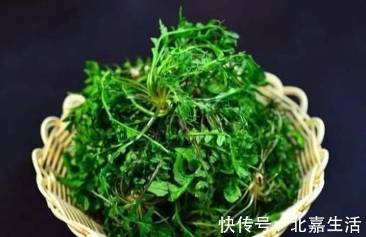 食物|好身体多半是“吃”出来的,3种食物经常吃,排毒抗衰降血压!