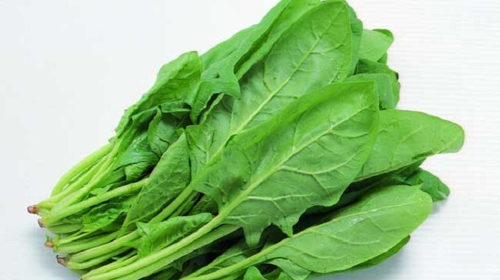 蛋黄|关心眼睛的人注意,经常吃3种食物对眼睛好,还能预防近视