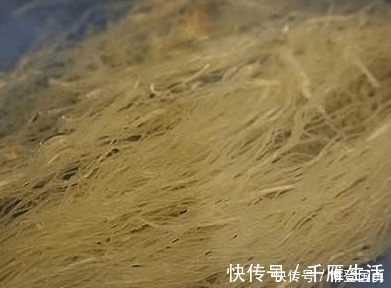 烧菜|这道菜我每星期都会做一两次，儿子爱吃又可以当饭吃省得烧菜了！