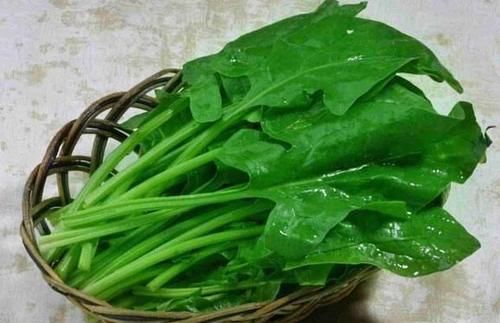 刘医生|秋天来了,不妨多吃3种食物,润滑皮肤,治疗月经不调,早吃早好