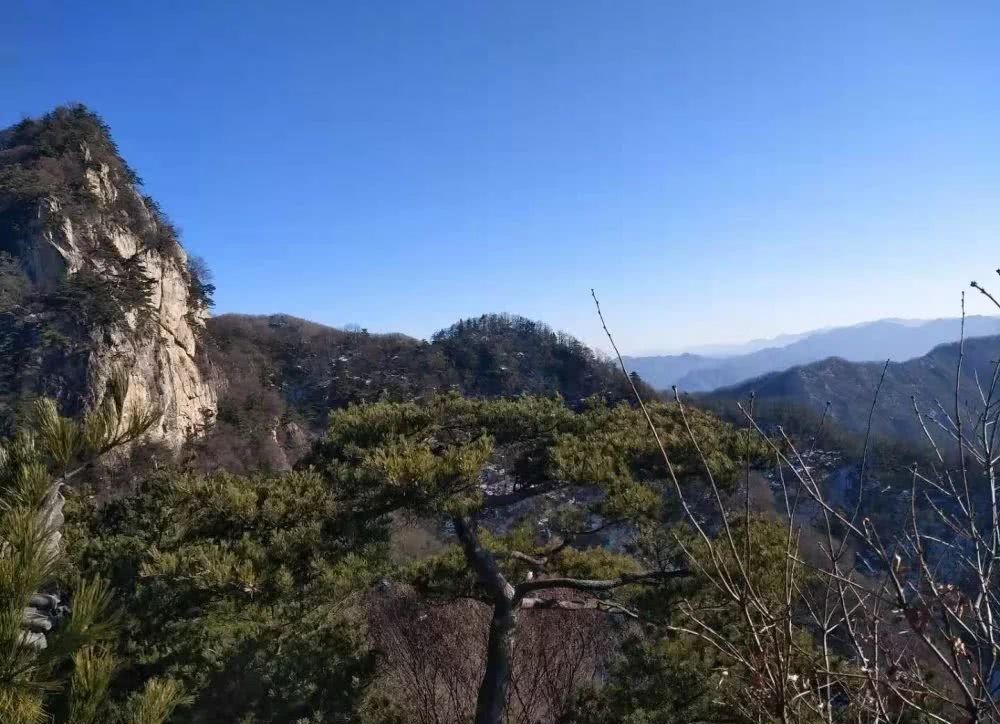 极端|从“埋儿奉母”到“靖边埋母”：人伦惨剧的极端个例