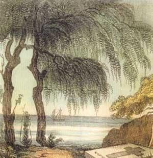 痴呆测试图只需几秒即可,用时久的要注意了