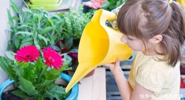 磷酸二氢钾,喷叶子好还是灌根好看一眼就能明白,别弄错了!